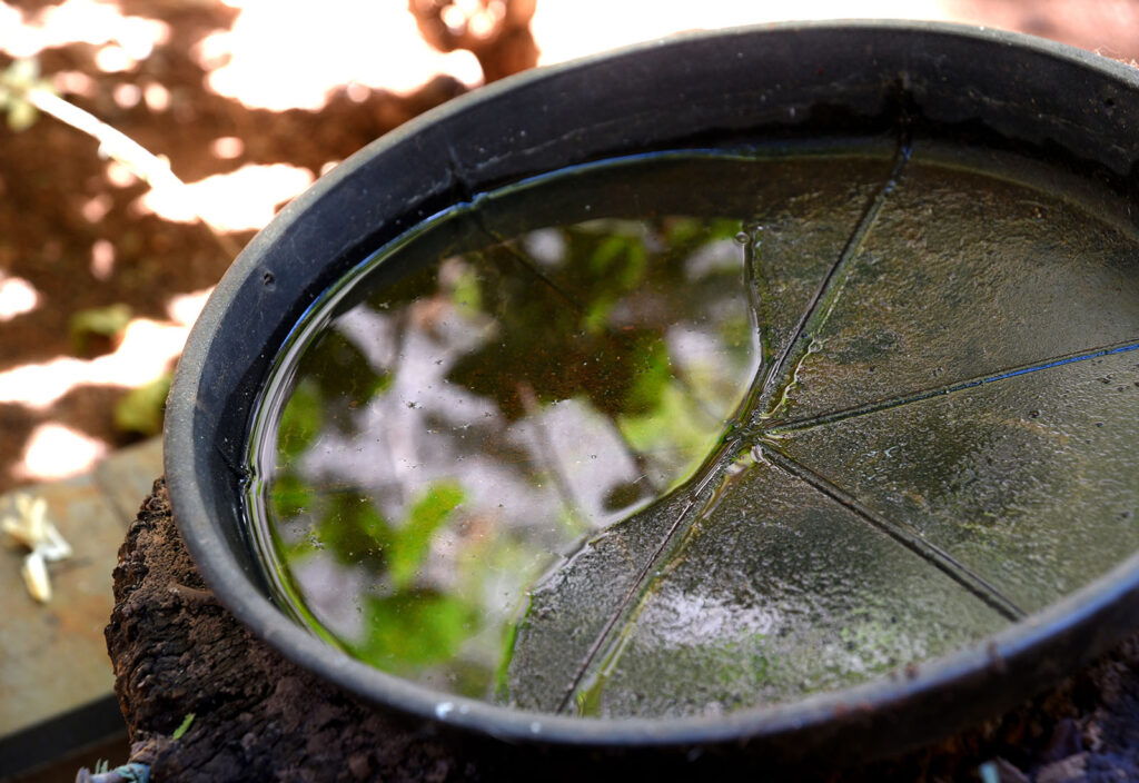 Qué hago si se acumula agua de lluvia en mi cubeto exterior Qué hago si se acumula agua de lluvia en mi cubeto exterior