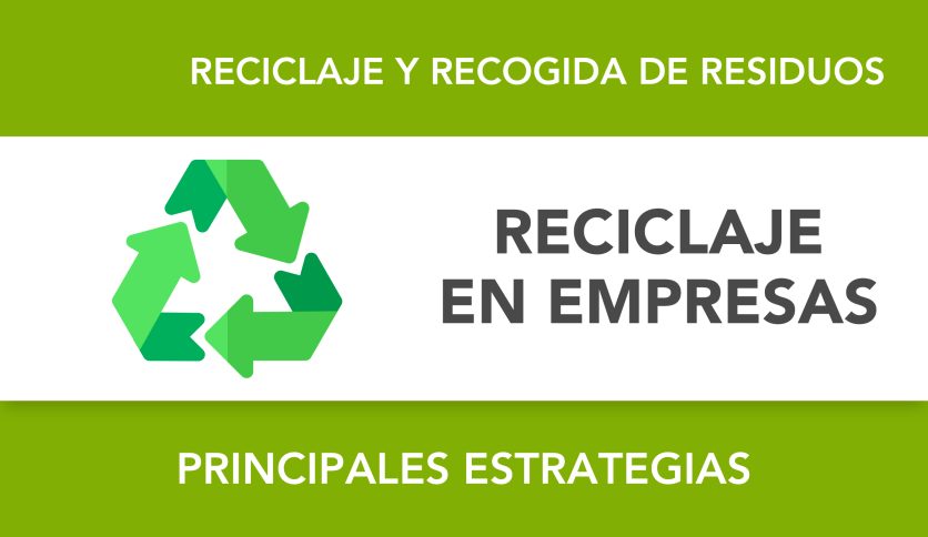 Impulsar el reciclaje en las empresas: consejos y estrategias