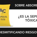 Desmitificando riesgos: ¿La sepiolita es tóxica? Desmitificando riesgos: ¿La sepiolita es tóxica?